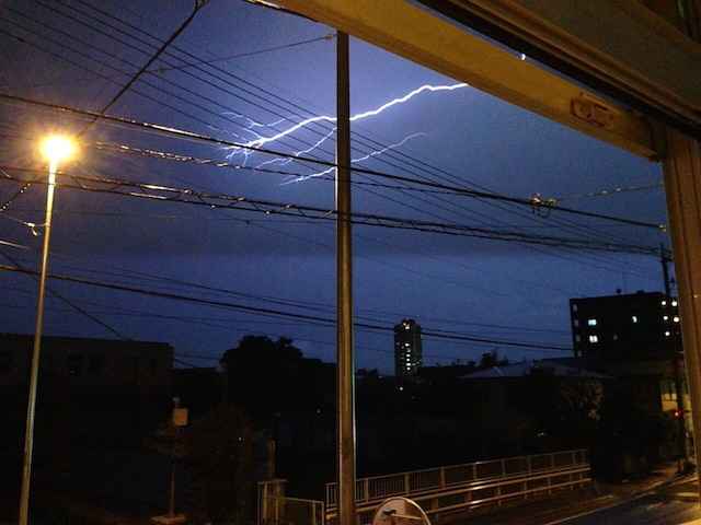 雷で犬がパニックになったら…？