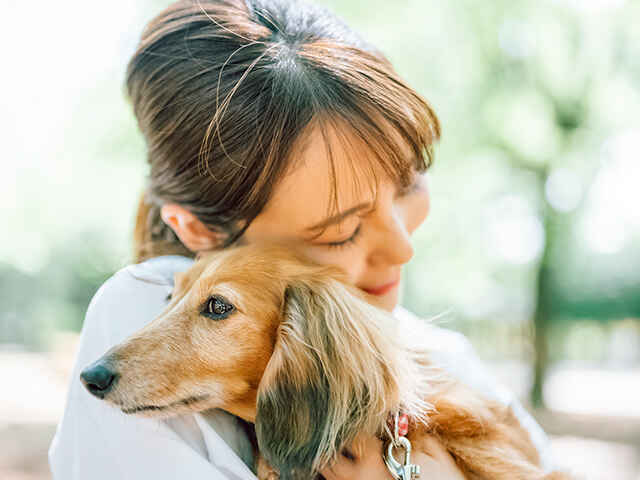 犬が不安を感じているときに注意すること