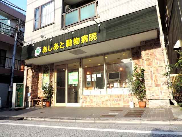 あしあと動物病院