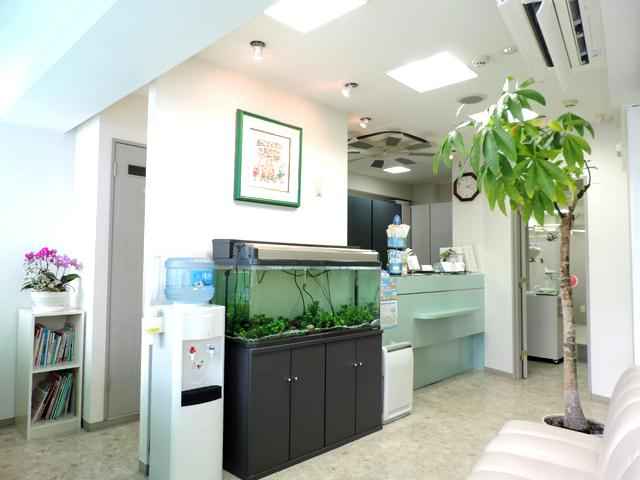 ささき矯正歯科