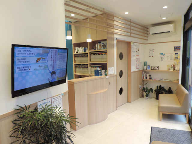 オダイ動物病院