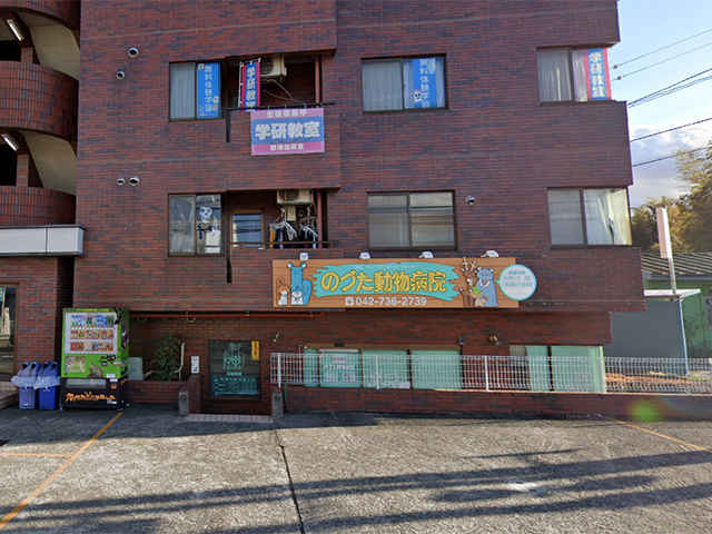 のづた動物病院