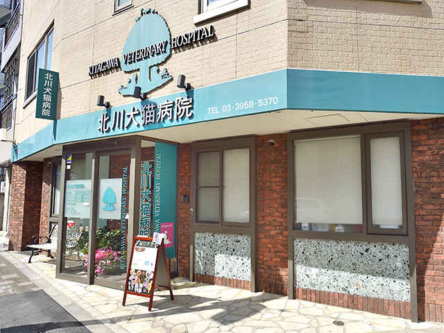 北川犬猫病院