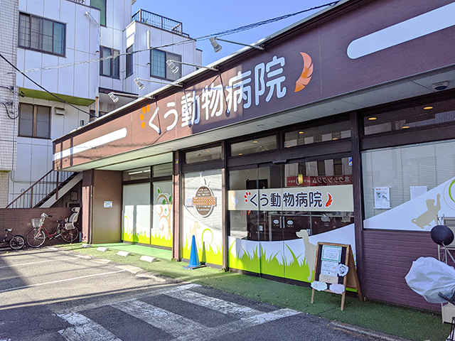 くう動物病院