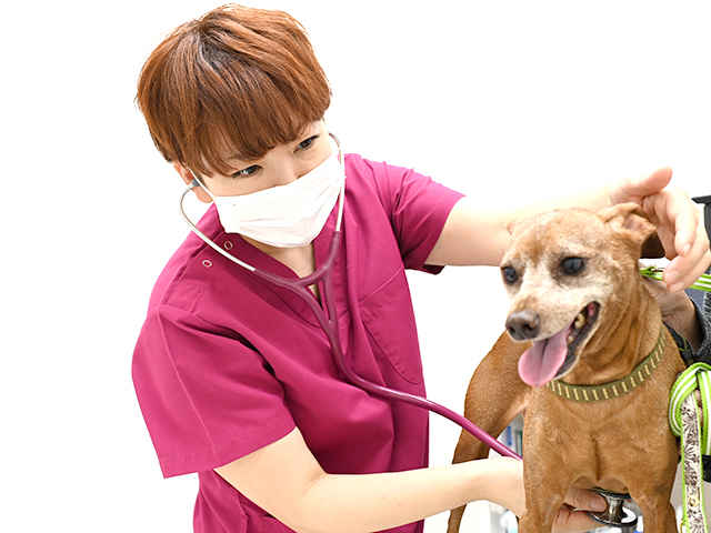 富士見台どうぶつ病院