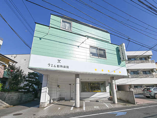 ウエム動物病院