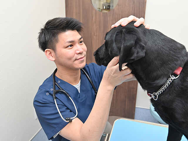 祐天寺どうぶつ医療センター
