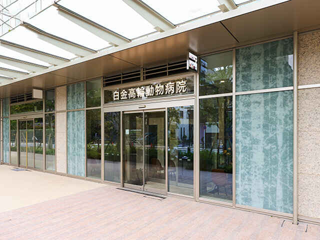 白金高輪動物病院