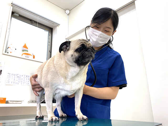 とくろくペットクリニック