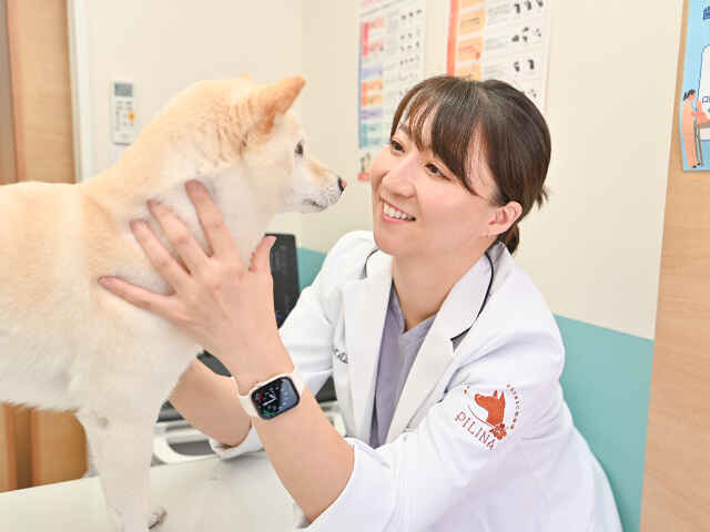 PET CARE CLINIC PILINA（ペットケアクリニックピリナ）