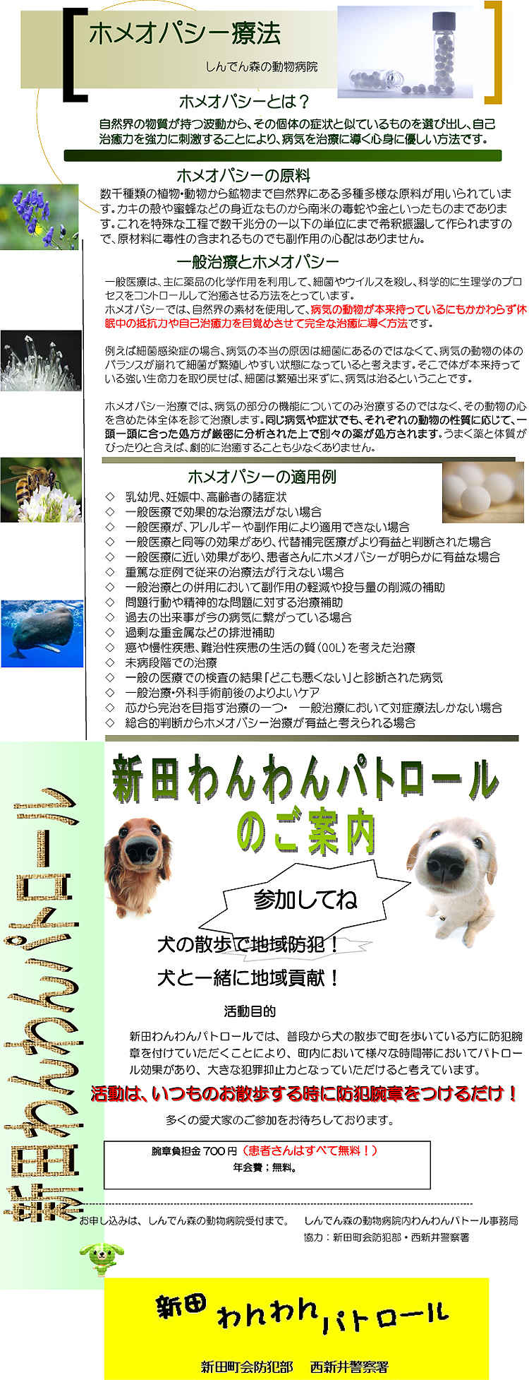 しんでん森の動物病院のお知らせ内容