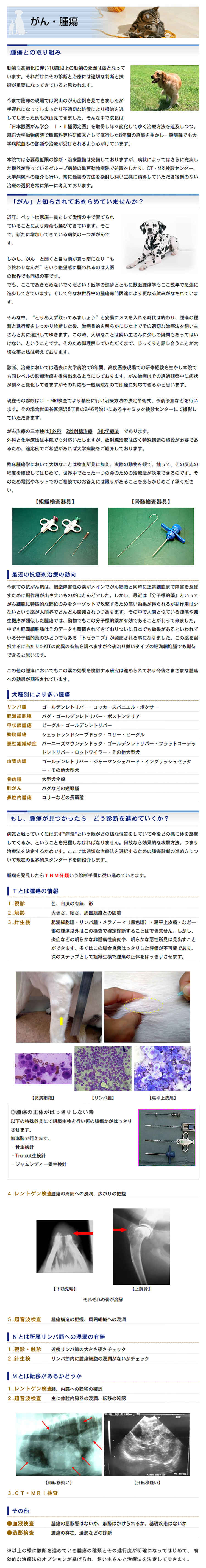 池尻大橋ペットクリニックのお知らせ内容