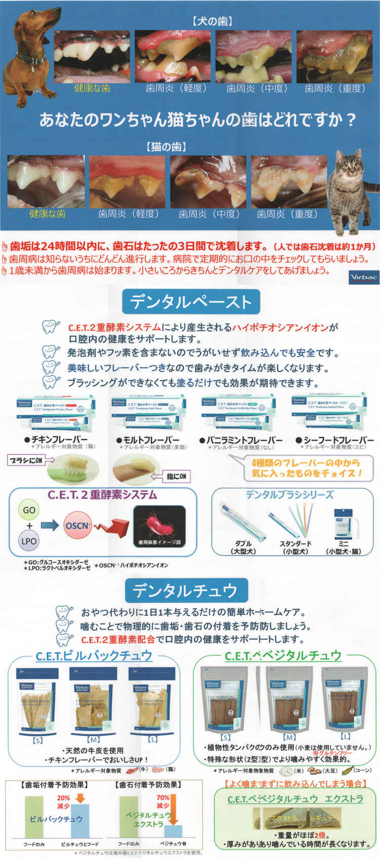 永井ペットクリニックのお知らせ内容